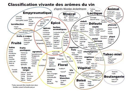 Tableau de classification du vin