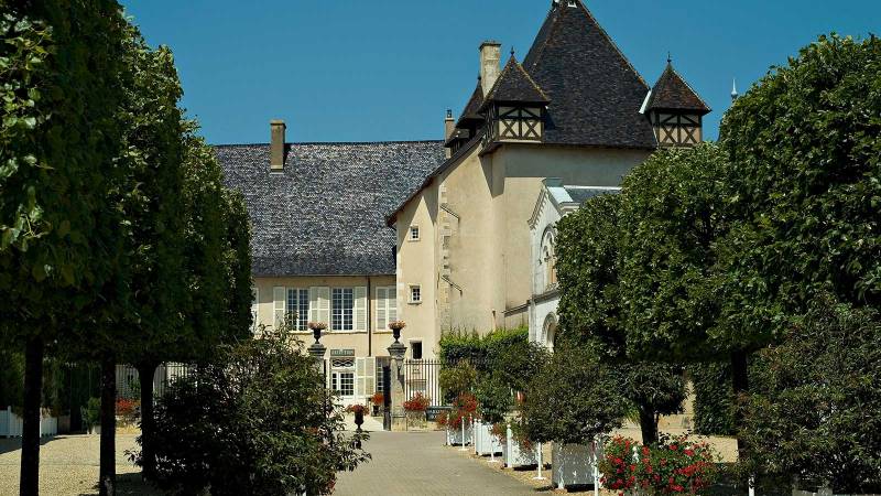 Lieu d'animation Beaujolais Château de Pizay