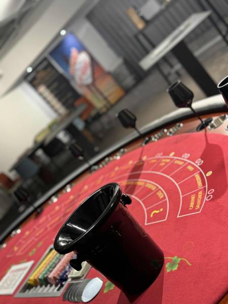 Dégustation de vins dans le Dauphiné dans le château du domaine Dolomieu