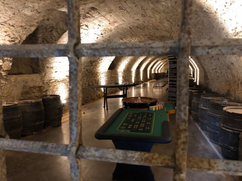 Animation oenologique dans le beaujolais près de Lyon