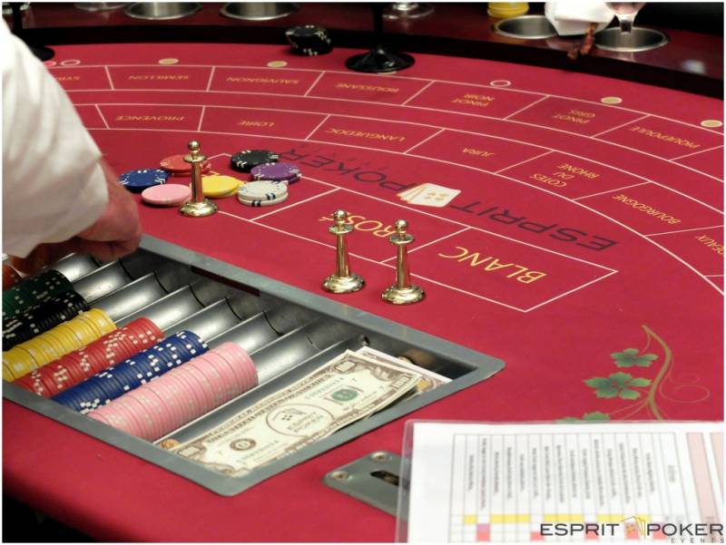 Entre Beaujolais et Bourgogne, le mâconnais est un terroir plein de sens pour une animation oenologique à Mâcon