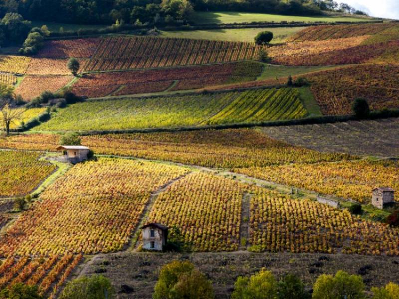 Venez vous ressourcer avec des activités pour les séminaires d'entreprise dans le Beaujolais
