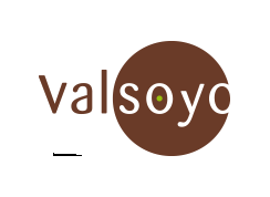 Logo du domaine de Valsoyo dans la drôme