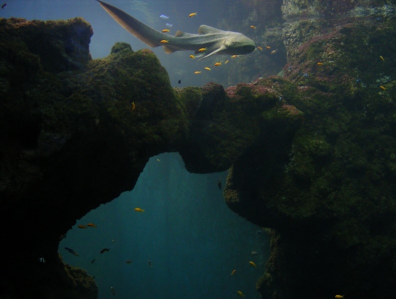 Lieu de Réception Lyon Aquarium