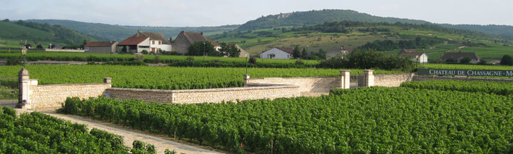 les vignes du chateau, réalisez votre séminaire d'entreprise au vert !