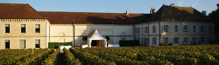 le splendide site du chateau au coeur d'un patrimoine viticole