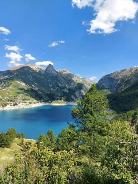 Nos prestations sur le secteur de Lyon 69 en Auvergne Rhône-Alpes